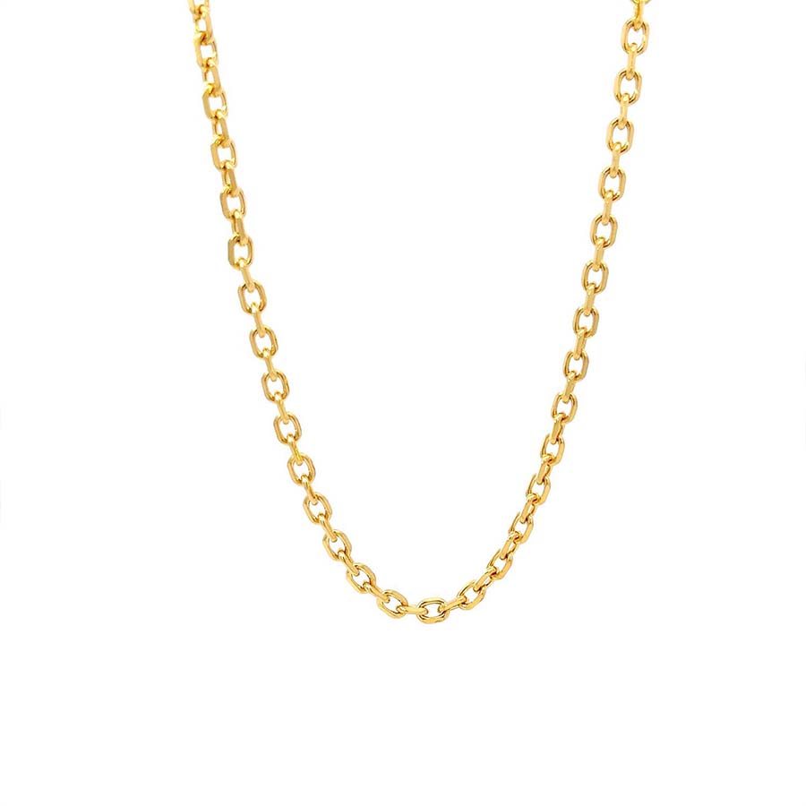 "EMERY" Belcher Chain Necklace